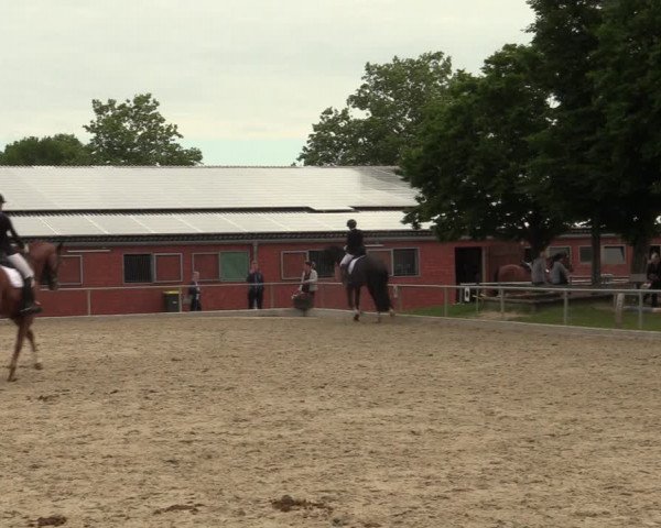 Reitturnier Ascheberg 2022