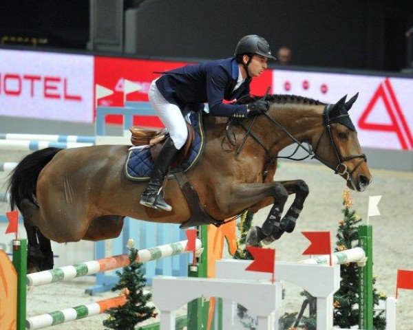 jumper Sidney VIII (Holsteiner, 2002, from Carry)