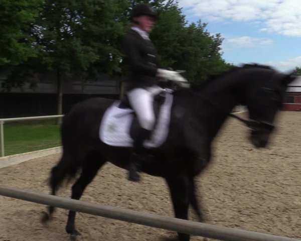 Reitturnier Ascheberg 2022