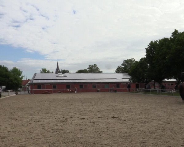 Reitturnier Ascheberg 2022