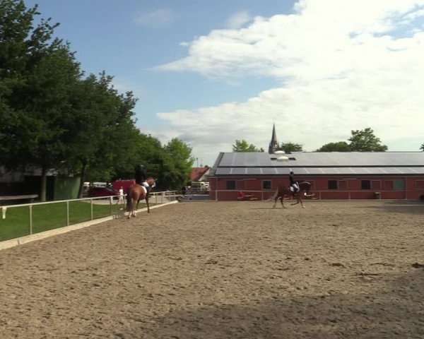 Reitturnier Ascheberg 2022