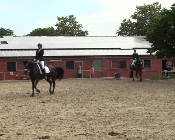 Reitturnier Ascheberg 2022