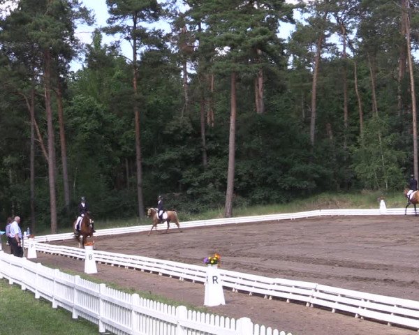 Reitturnier Wörmlitz 2022