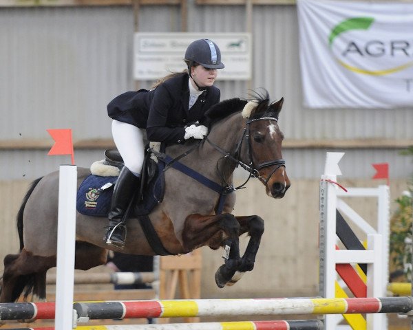 Dressage horse Nick (German Riding Pony, 1990, from Vitalis)