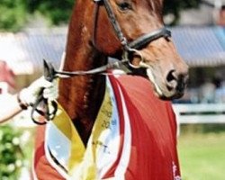 broodmare Lady Larissa (Hanoverian, 1993, from Landadel)