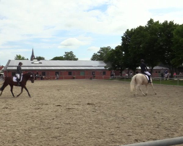 Reitturnier Ascheberg 2022