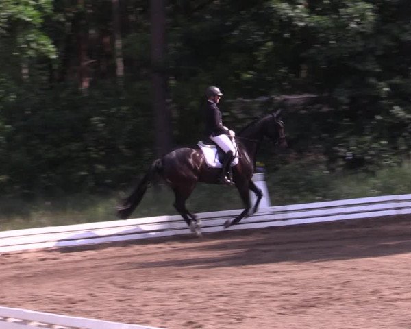 Reitturnier Wörmlitz 2022