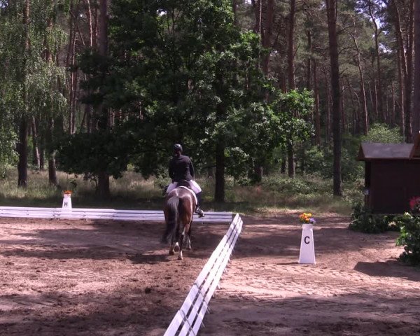 Reitturnier Wörmlitz 2022