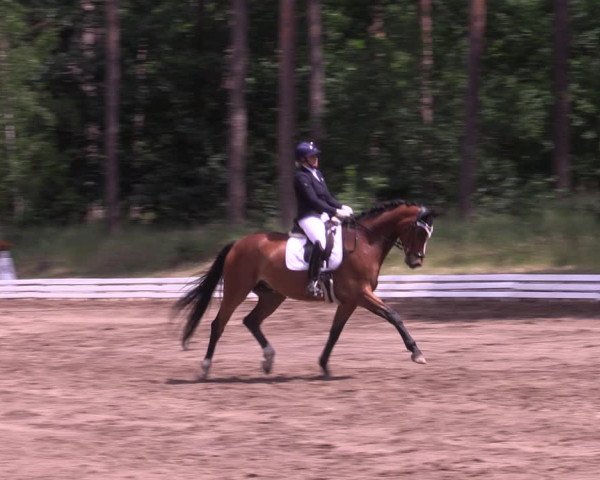 Reitturnier Wörmlitz 2022