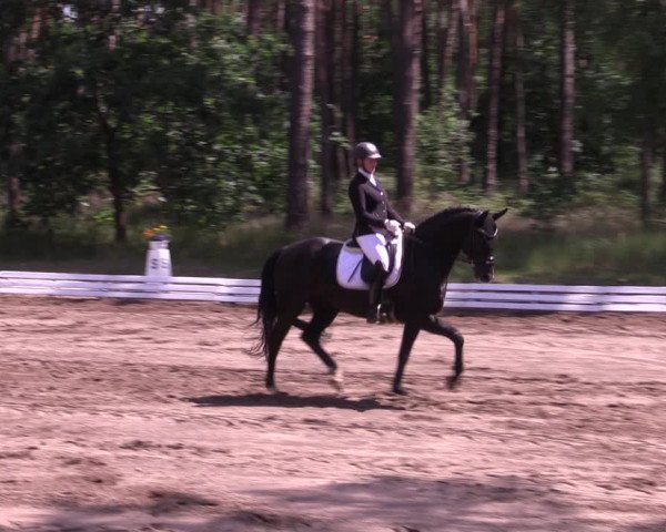 Reitturnier Wörmlitz 2022