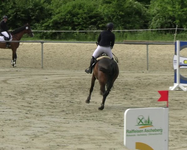 Reitturnier Ascheberg 2022