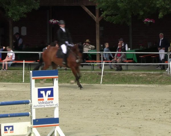 Reitturnier Ascheberg 2022
