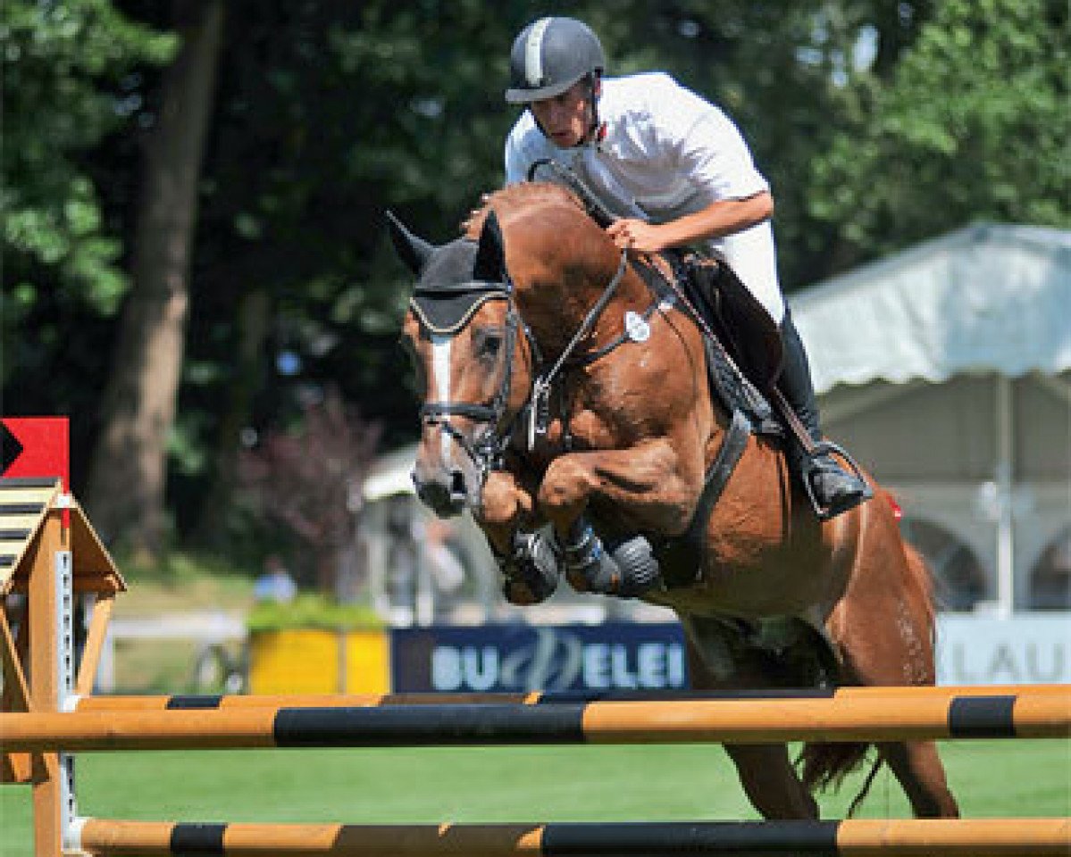 stallion Chin Quin (Westphalian, 2004, from Chin Chin)