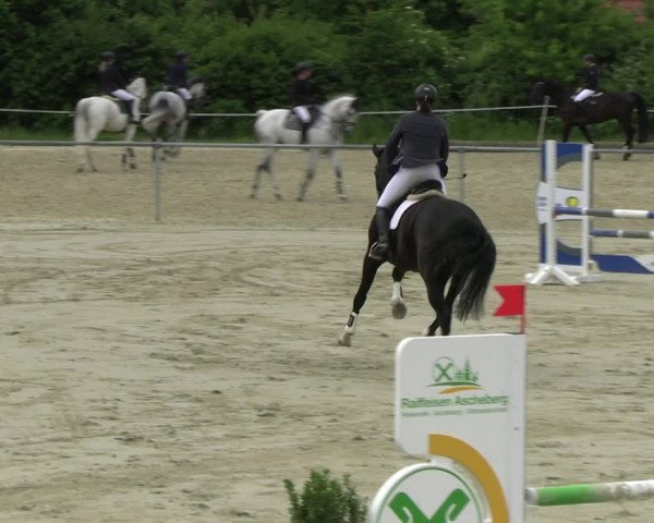 Reitturnier Ascheberg 2022