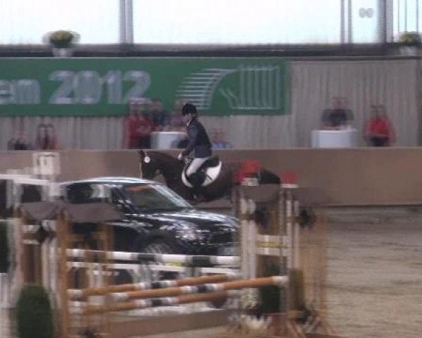 broodmare Malina 23 (German Riding Pony, 2002, from Mentos)