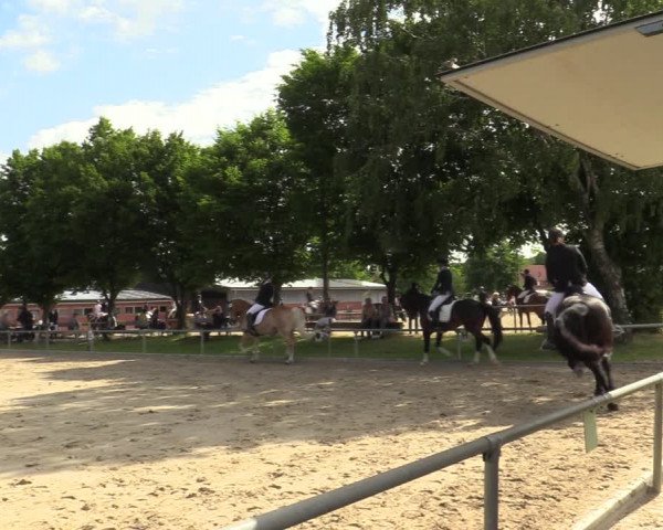 Reitturnier Ascheberg 2022