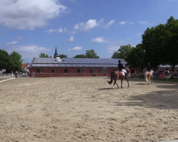Reitturnier Ascheberg 2022