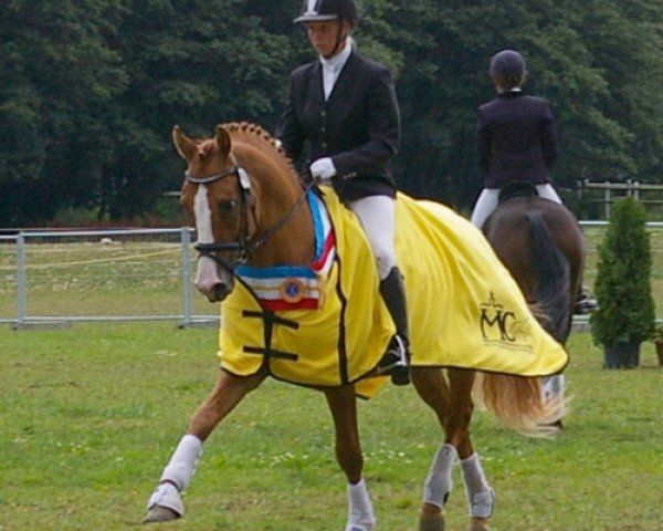 horse Dastyn 3 (German Riding Pony, 2009, from Doubtless)