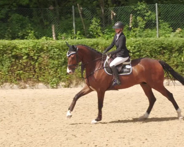Reitturnier Böblingen 2022