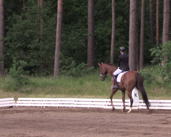 Reitturnier Wörmlitz 2022
