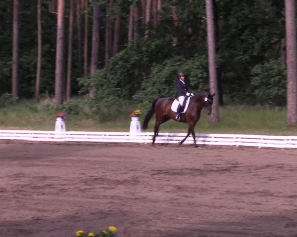 Reitturnier Wörmlitz 2022