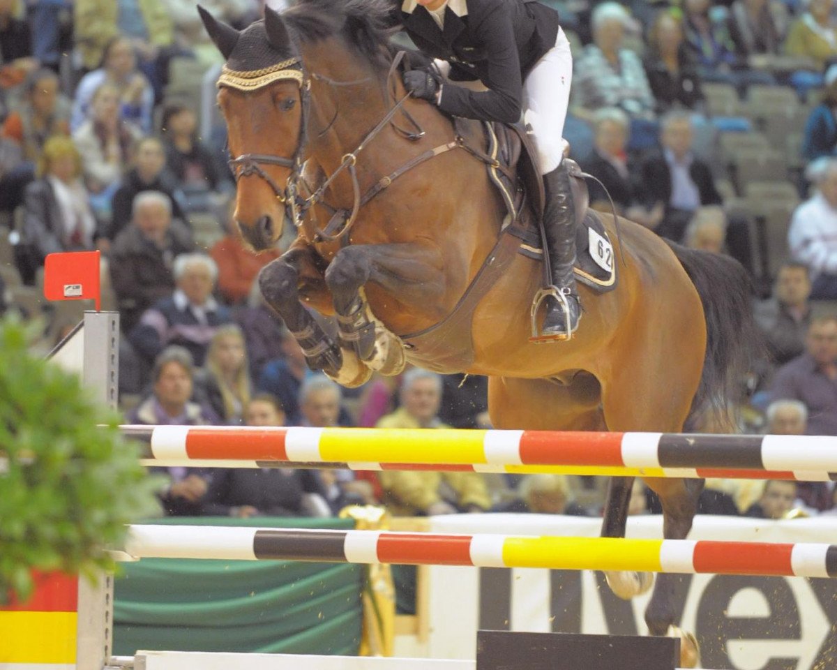 Springpferd Chee Soon S (Bayer, 2005, von Cheenook)