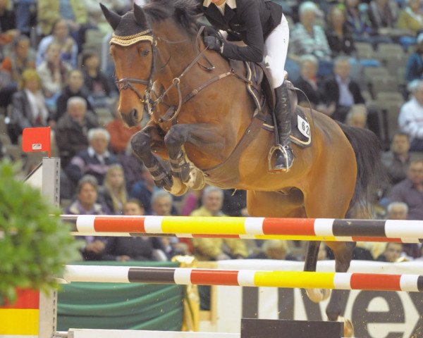 jumper Chee Soon S (Bavarian, 2005, from Cheenook)