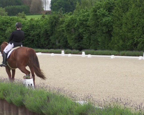 Reitturnier Lindlar - Reitanlage Dückers 2022