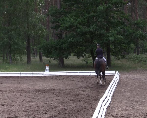 Reitturnier Wörmlitz 2022