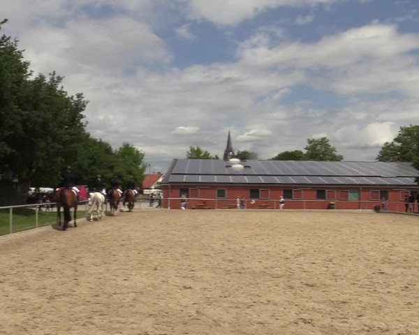 Reitturnier Ascheberg 2022