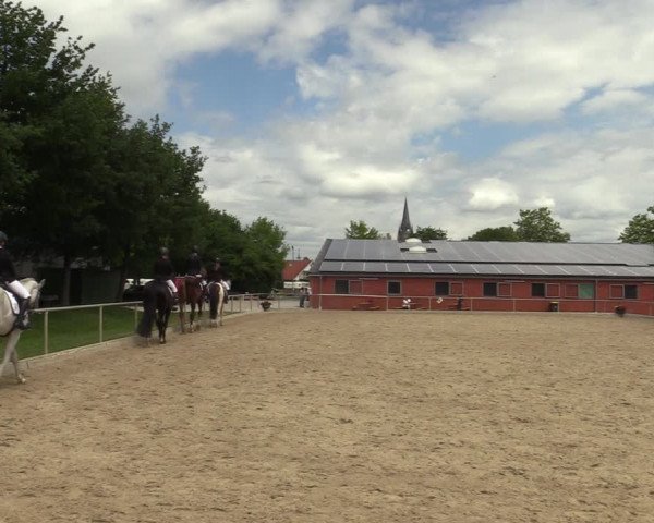 Reitturnier Ascheberg 2022