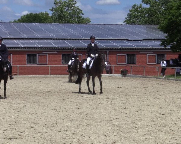 Reitturnier Ascheberg 2022