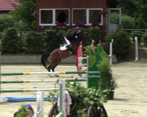 Reitturnier Ascheberg 2022