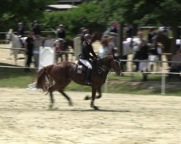Reitturnier Ascheberg 2022