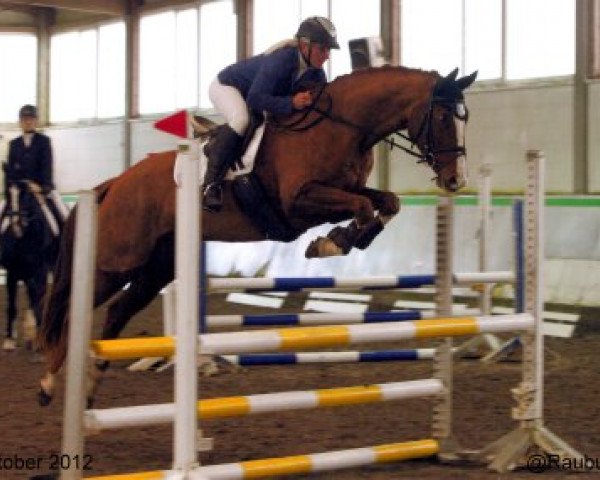 broodmare Quantums Zarrin (Holsteiner, 2007, from Quantum)