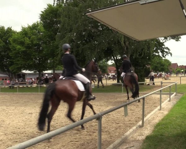 Reitturnier Ascheberg 2022