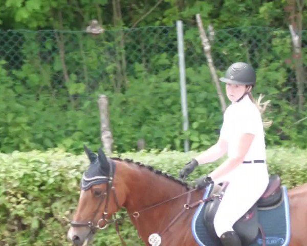 Reitturnier Böblingen 2022