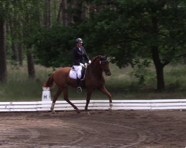 Reitturnier Wörmlitz 2022