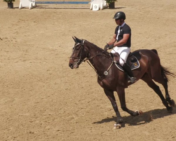 Reitturnier Böblingen 2022