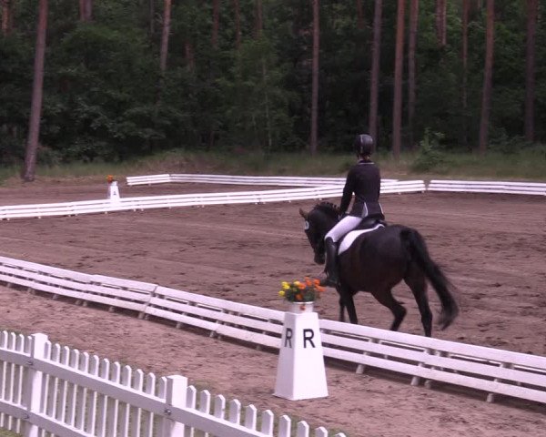 Reitturnier Wörmlitz 2022