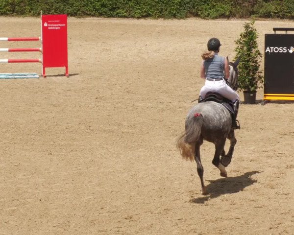 Reitturnier Böblingen 2022