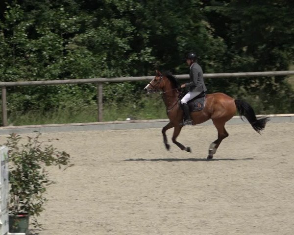 Reitturnier Erkrath - Uhlenhof 2022