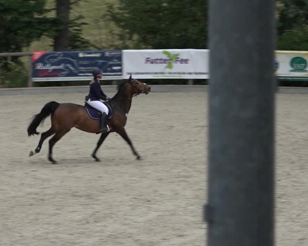 Reitturnier Erkrath - Uhlenhof 2022
