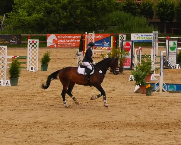 Reitturnier Schönfeld 2022