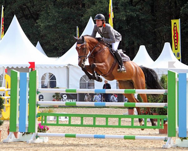 jumper Lucie 204 (Oldenburg, 2006, from Luxius)