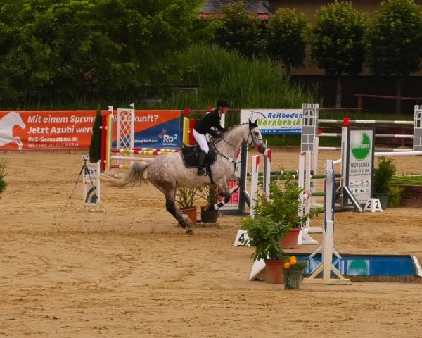 Reitturnier Schönfeld 2022