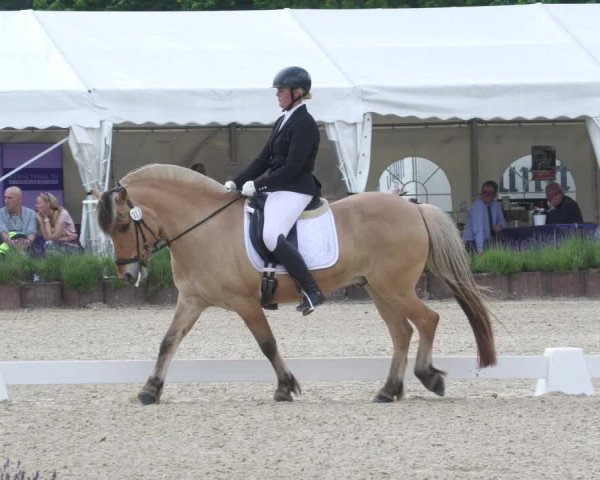Reitturnier Lindlar - Reitanlage Dückers 2022