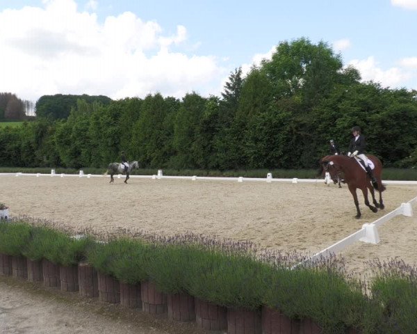Reitturnier Lindlar - Reitanlage Dückers 2022