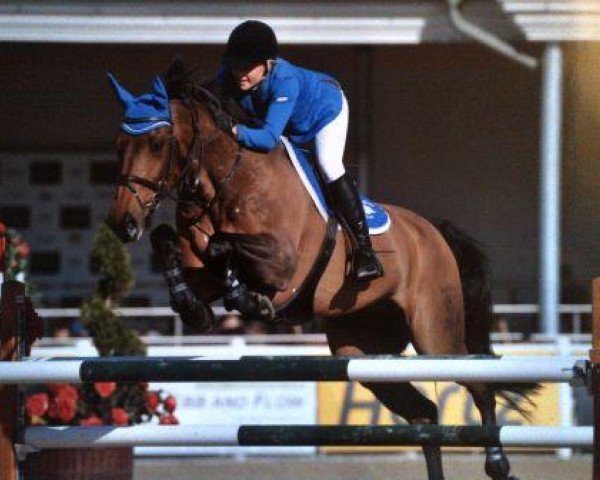 Springpferd Mc Kinley (Holsteiner, 1999, von Marlo)