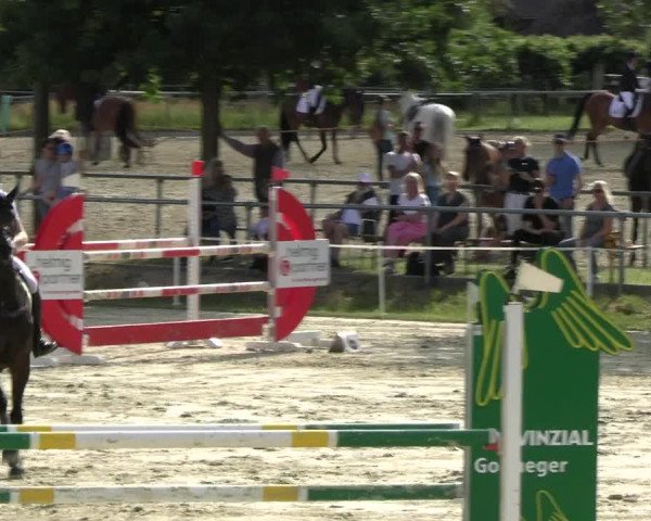 Reitturnier Ascheberg 2022